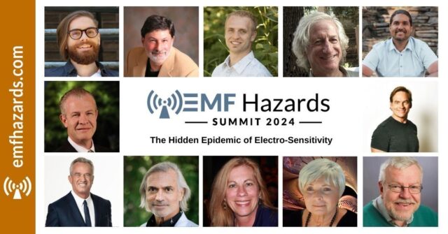 emf summit speakers