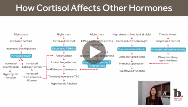 Untitled design (17)