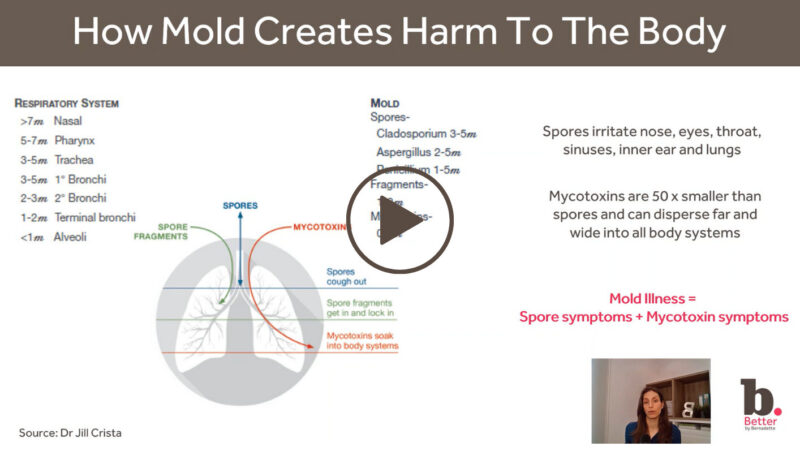 Untitled design (46)