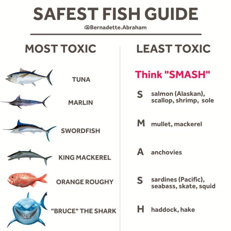 Safest Fish Guide - B Better