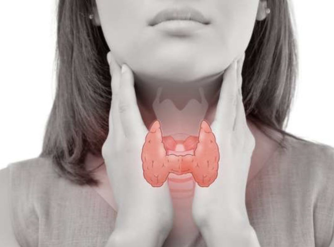 Thyroid, Adrenal & Sex Hormones